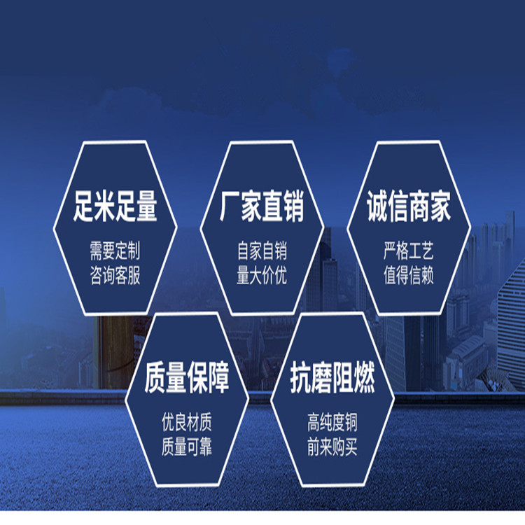 KX-HA-FGP熱電偶補償導線